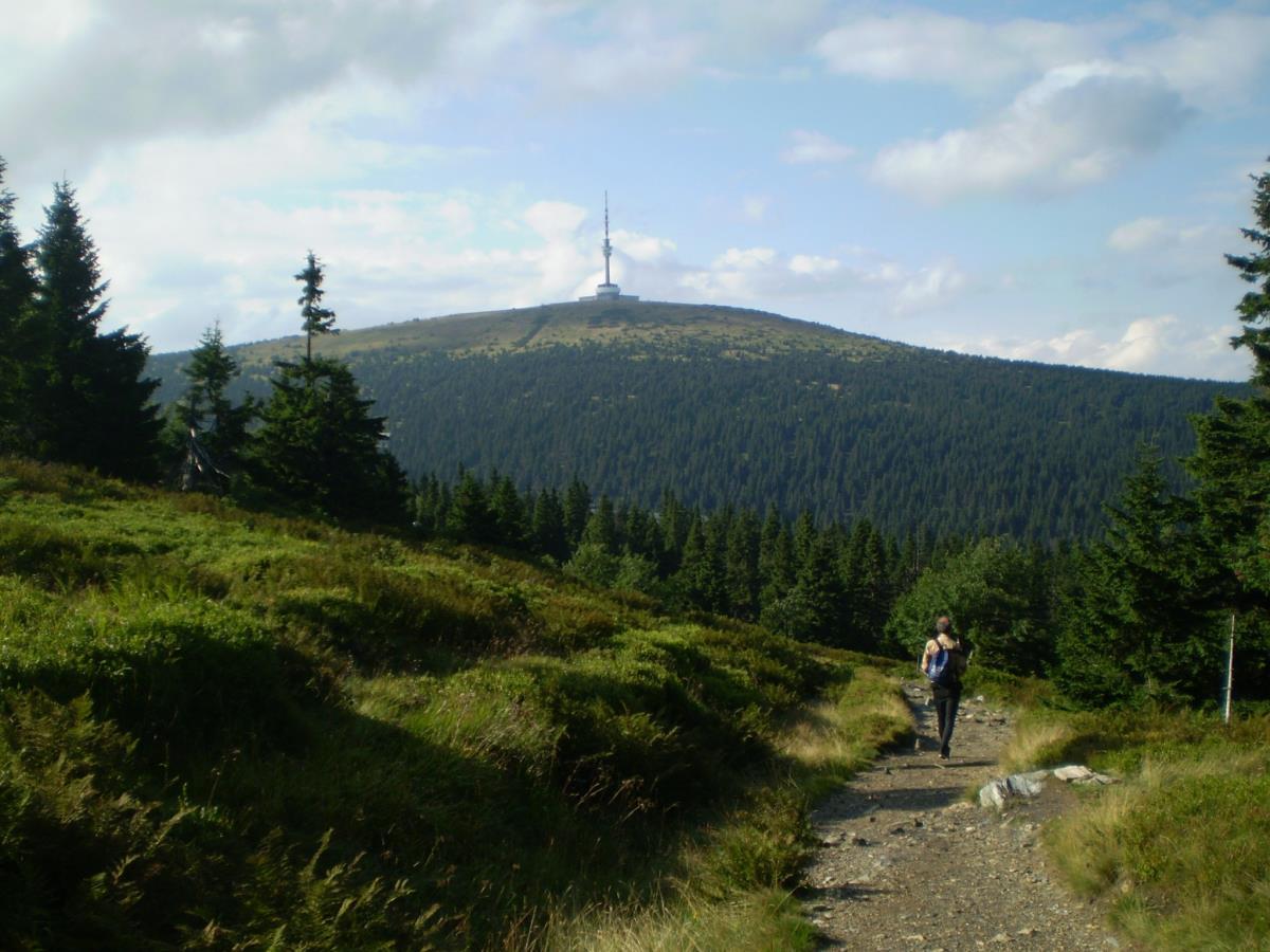 Read more about the article Jeseniky Mountains